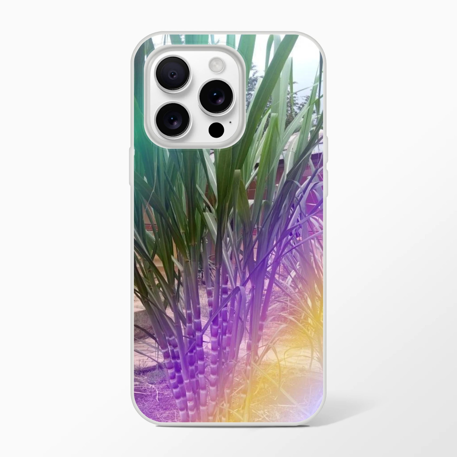 4f426162-5068-42a5-952a-33e5e73cdd2b