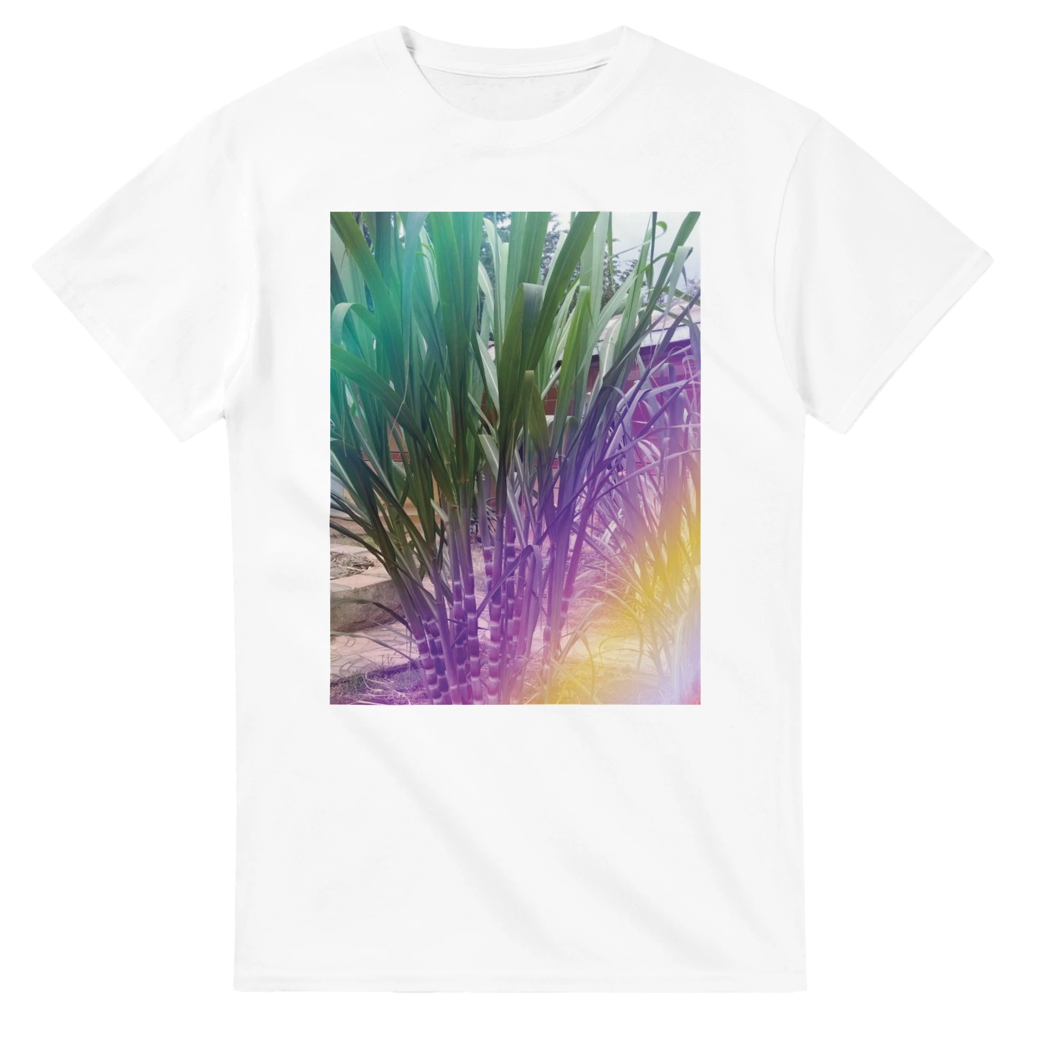 Heavyweight Unisex Crewneck T-shirt | Gildan® 5000 White